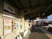 43053.jpg