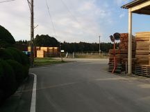 43054.jpg