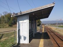 43061-3.jpg