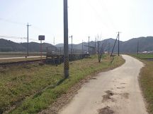 43061.jpg