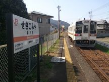 43062.jpg