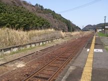 43066-1.jpg