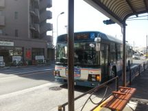 43100.jpg