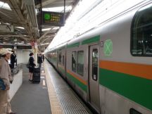 43124-1.jpg