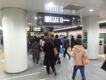 43131.jpg