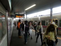 43142-1.jpg