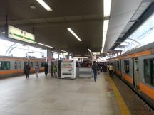 43154.jpg