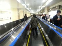 43155-2.jpg