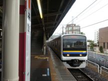 43159.jpg