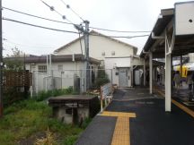 43163-1.jpg