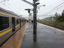 43163.jpg