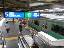 43169.jpg