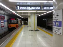 43173.jpg