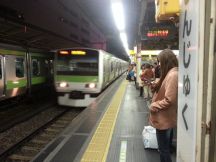 43174.jpg