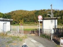 43188-5.jpg