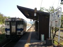 43196.jpg