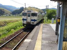 43204.jpg