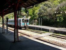 43207-4.jpg