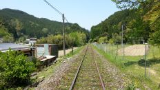 43209-3.jpg