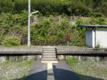 43221-2.jpg