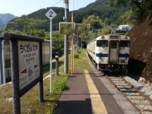 43221.jpg