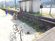 43222-3.jpg