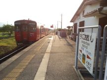 43229.jpg