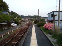 43233-5.jpg
