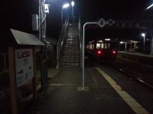 43239.jpg