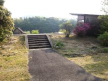 43248-4.jpg