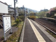43250.jpg