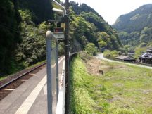 43259-1.jpg