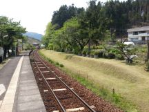 43262-1.jpg