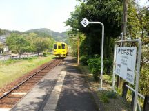 43262.jpg