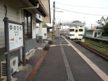 43273.jpg