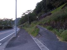 43277-4.jpg