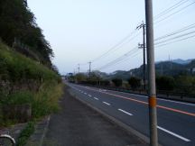 43277-5.jpg