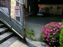43280-1.jpg