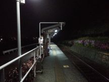 43281-1.jpg