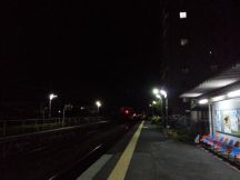43283-1.jpg