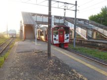 43293.jpg