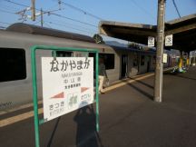 43296-8.jpg