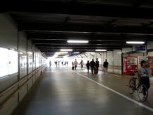 43297-3.jpg