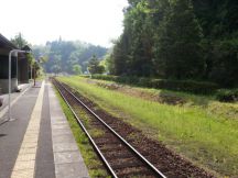 43300-1.jpg