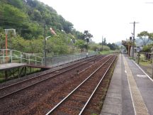 43313-1.jpg
