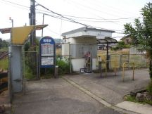 43313-2.jpg