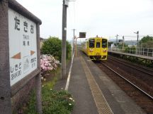 43313.jpg