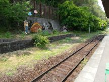 43315-2.jpg