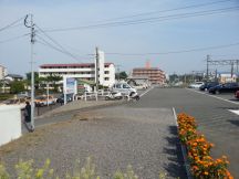 43318-4.jpg