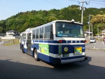 43323-6.jpg